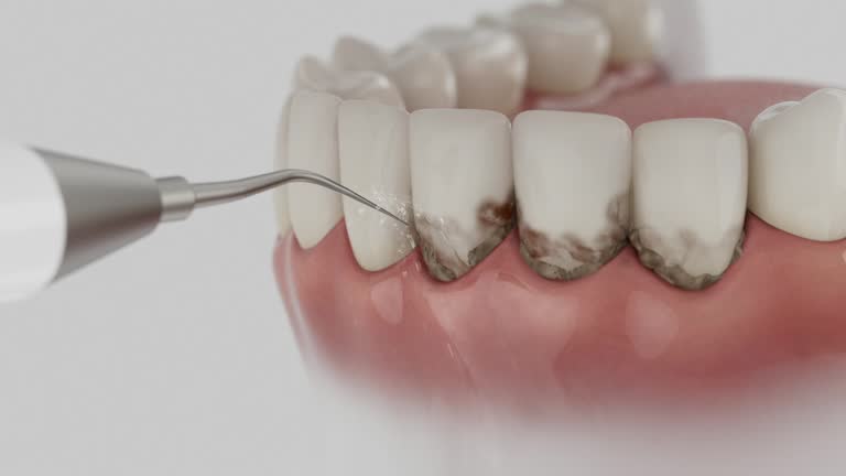 Reliable Dental contractor in Columbia Heights, MN by Dentist Open Now
